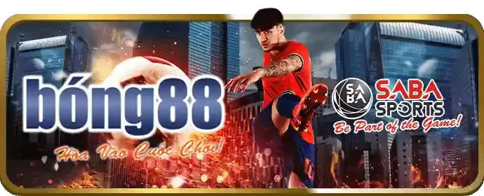 Biểu tượng tỷ lệ cược cạnh tranh